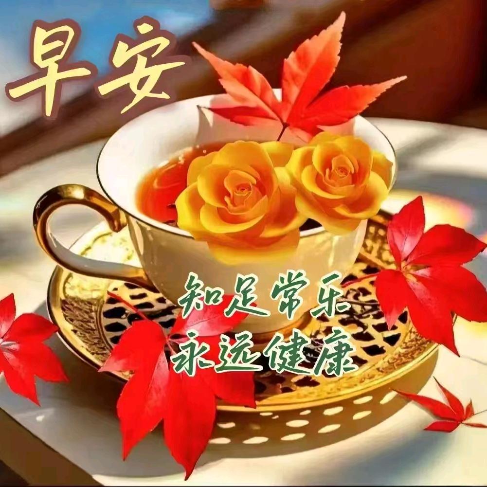 专业安装公架业佑神艺
