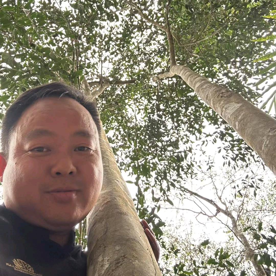 云南老马臻树茶业有限公司