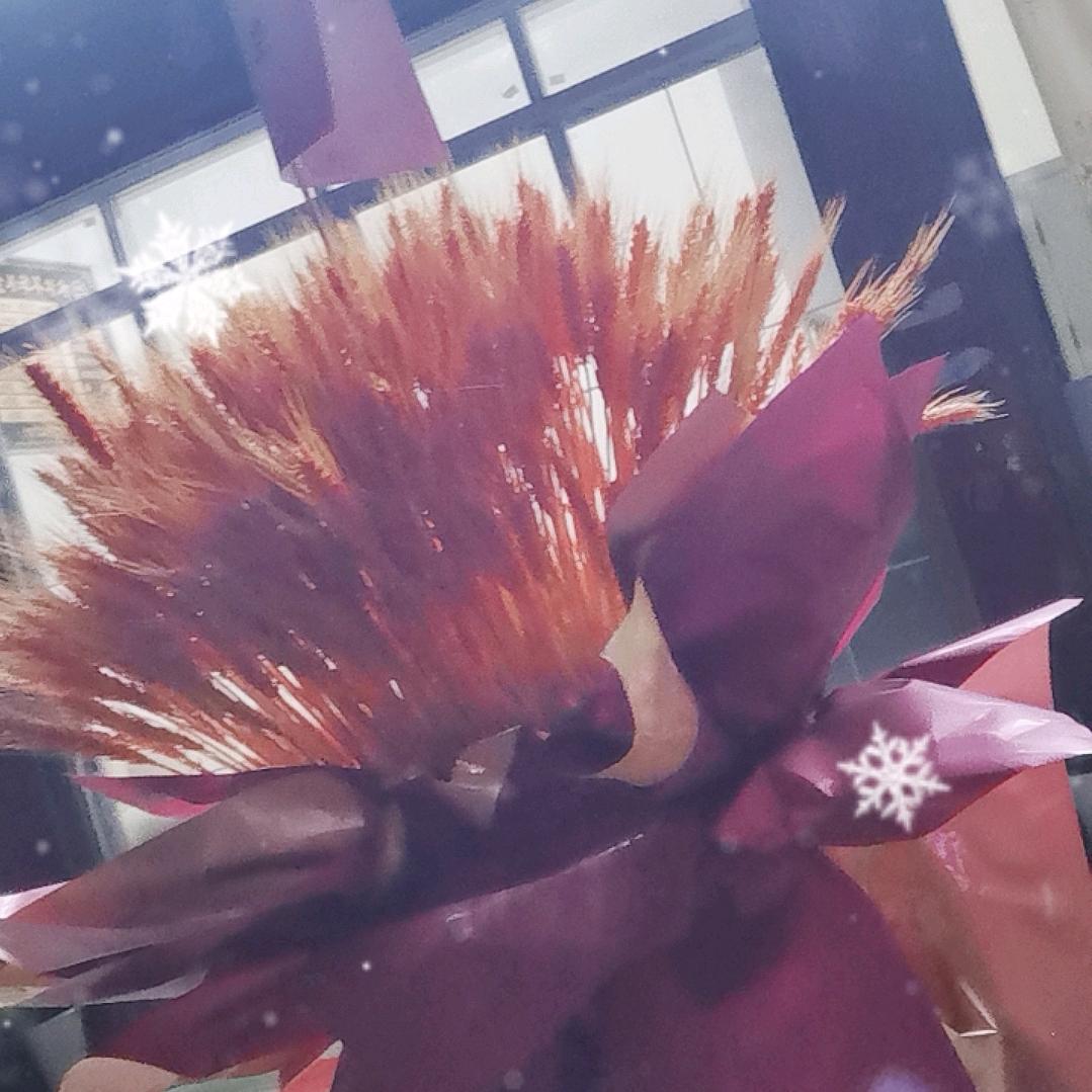张港水木年华