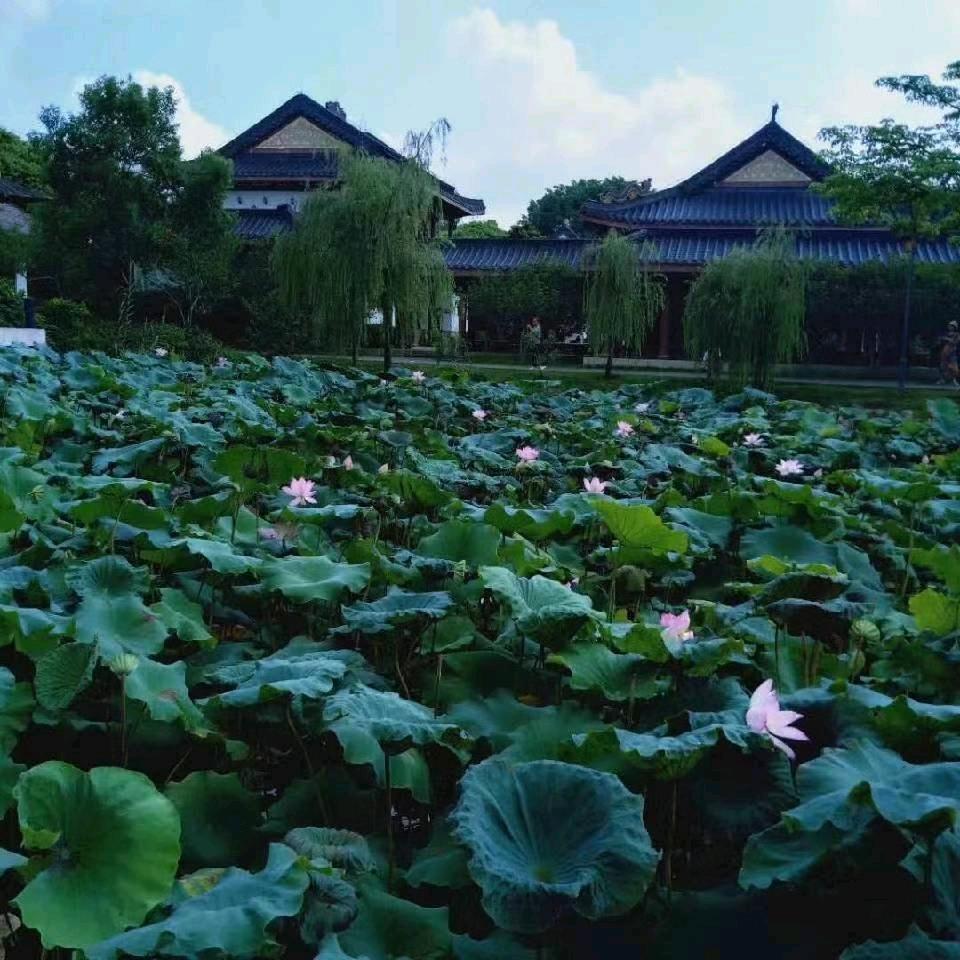 开心每一天