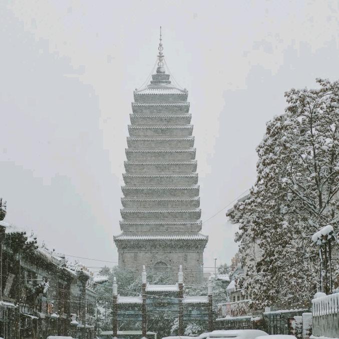 朝阳拍客