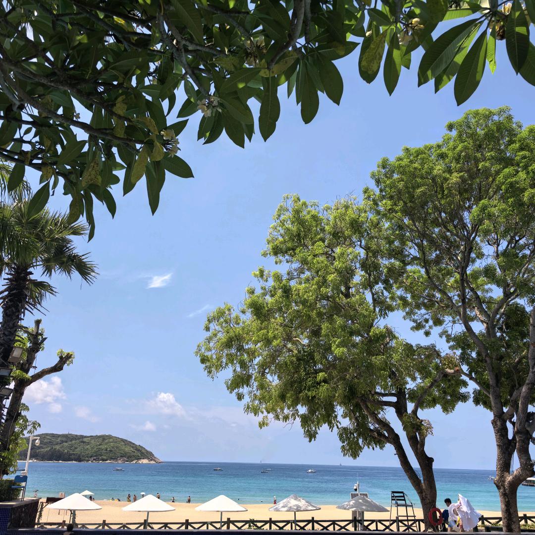 权威哥（吃丹修仙）