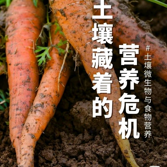 肥润万物