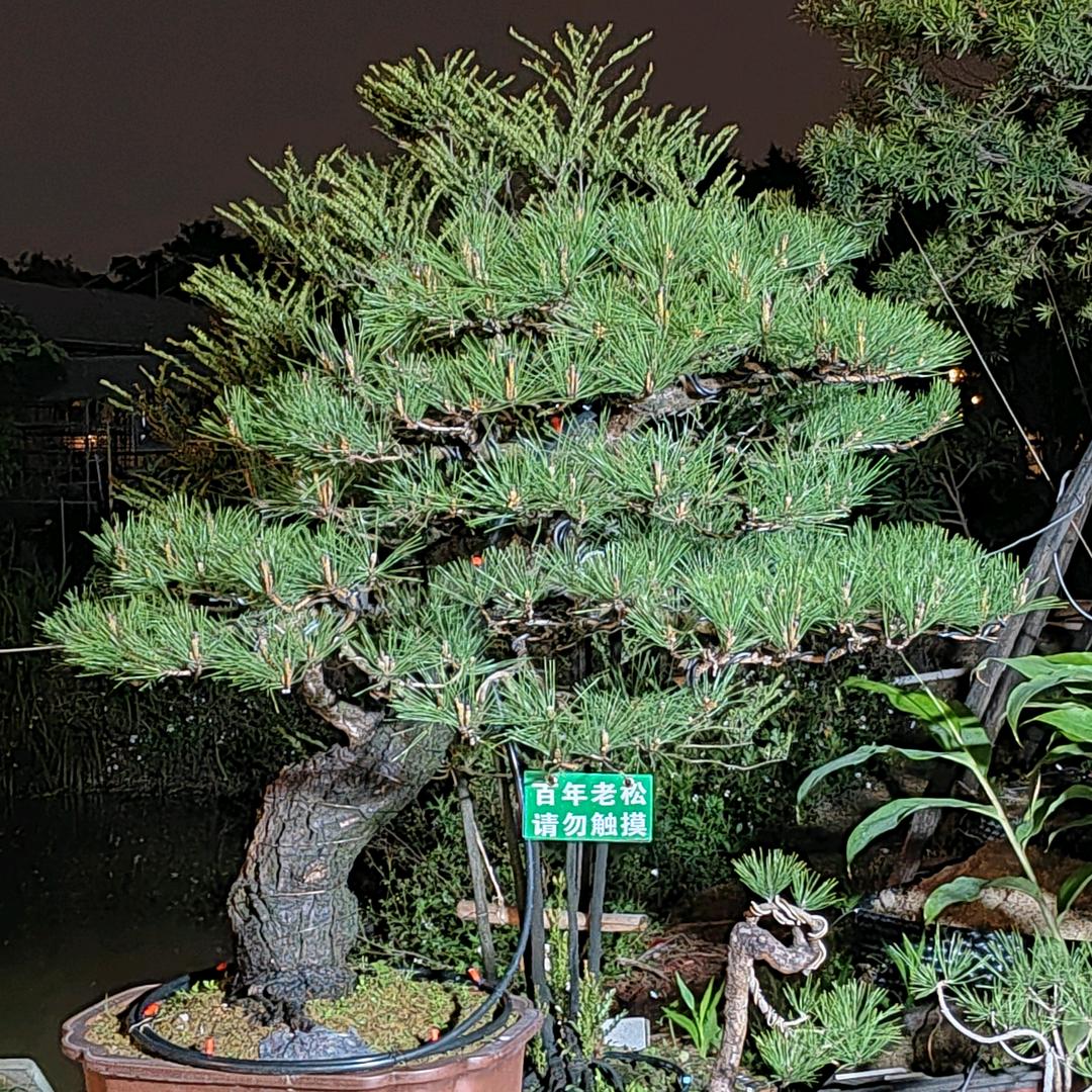 中山@坤哥