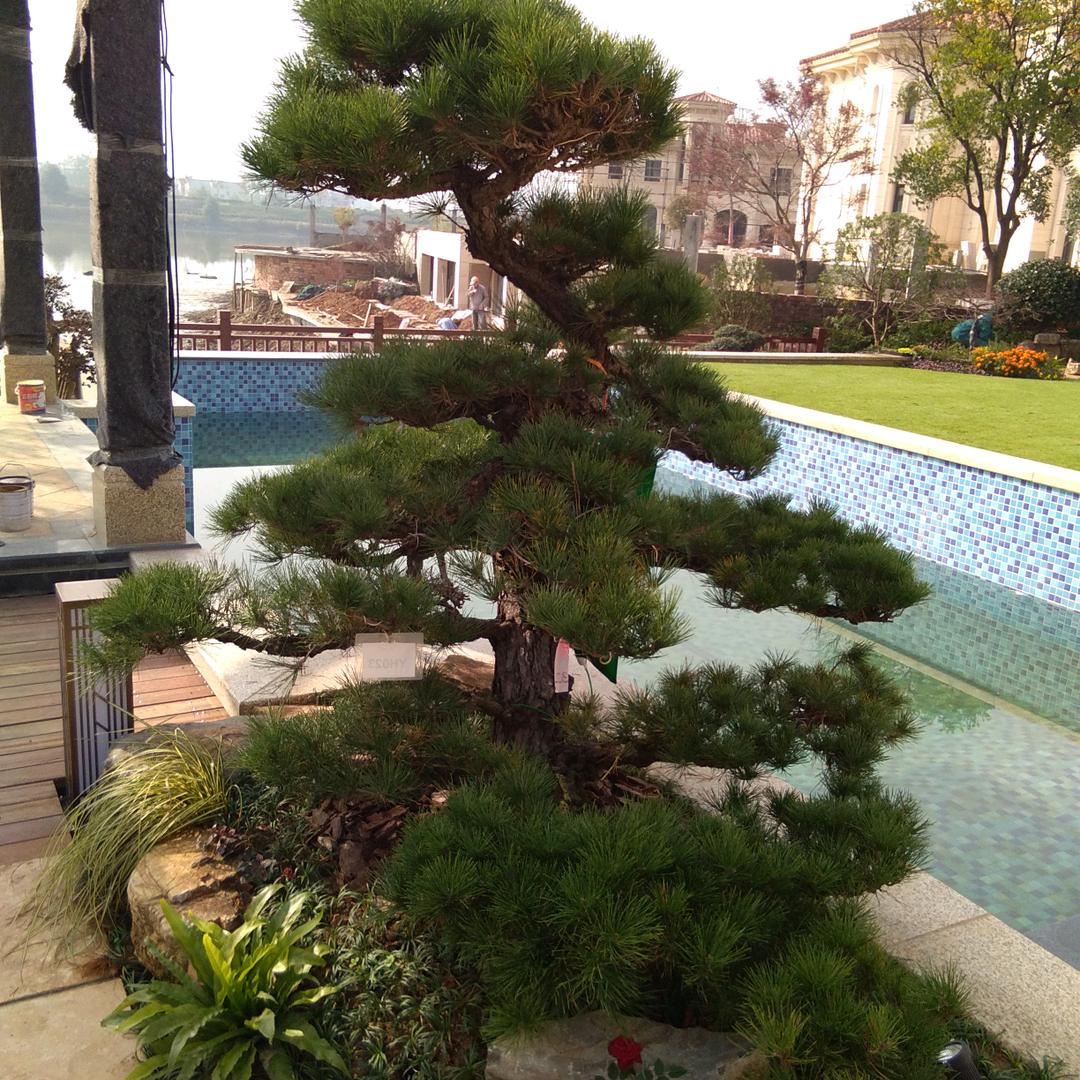 李广