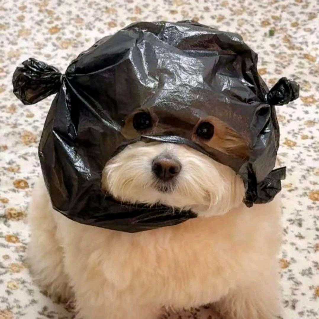 陆步梓——太梓真君（借府闰牝中）