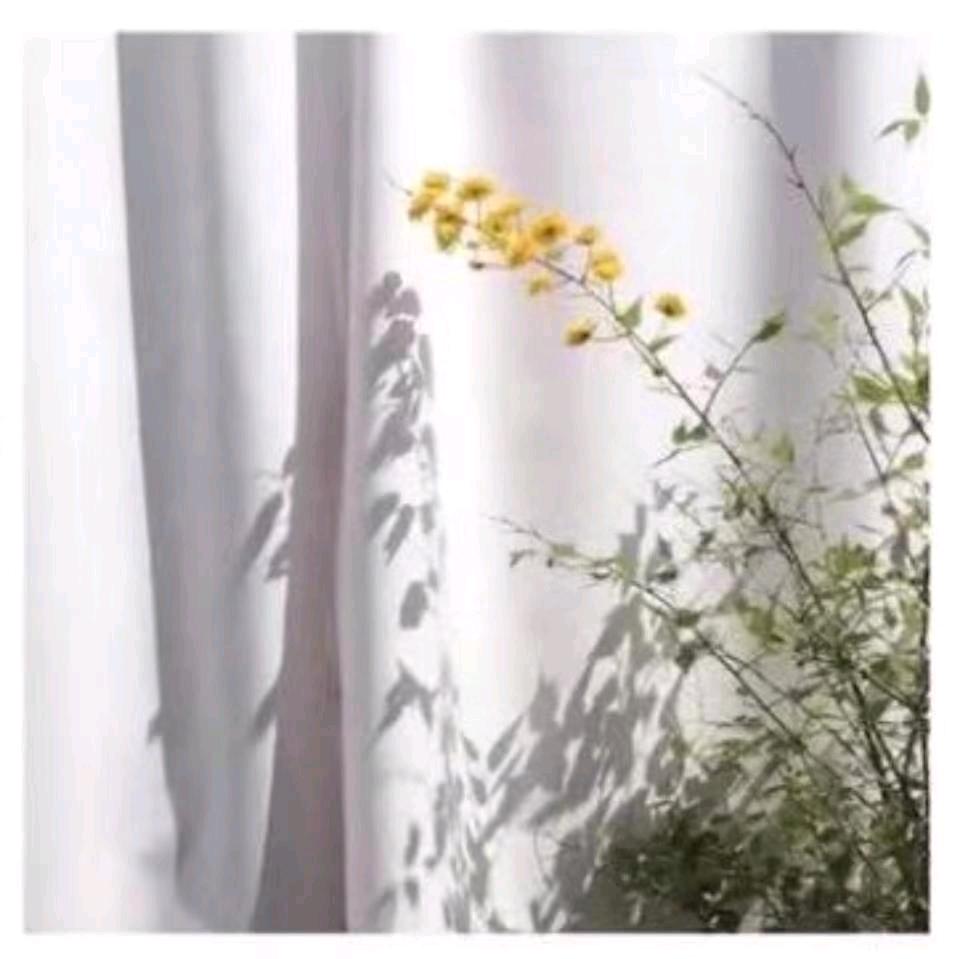娟儿姐