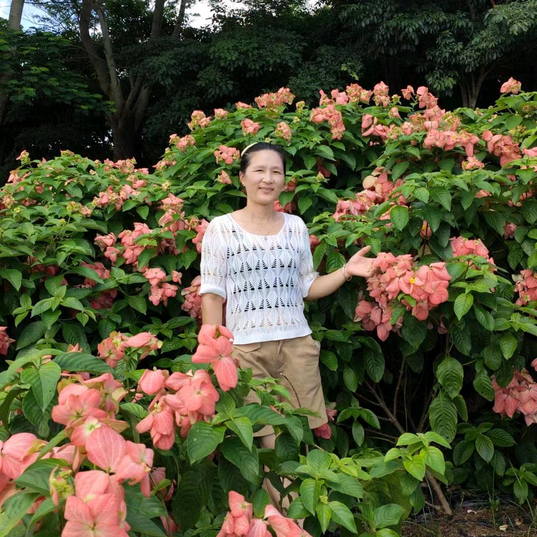 粗茶淡饭，金姐