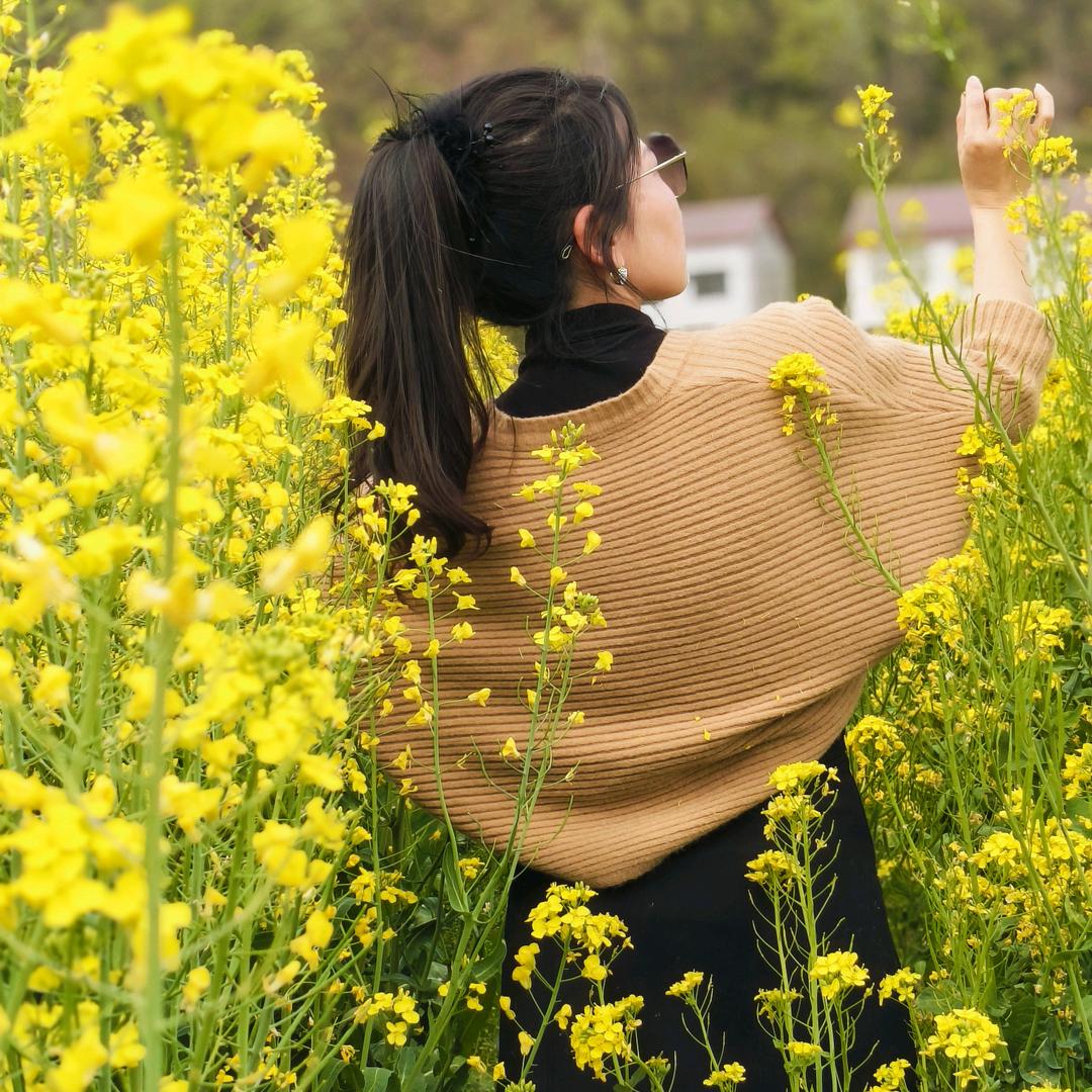 清荷