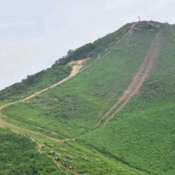 简单大叔