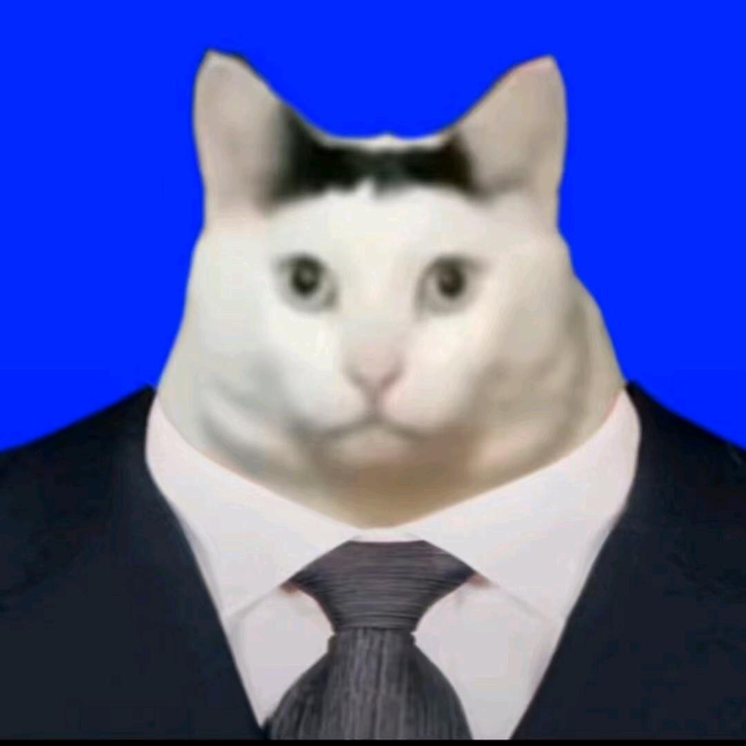 •᷄ࡇ•᷅