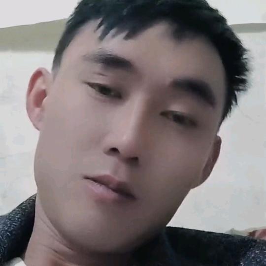 自由的风