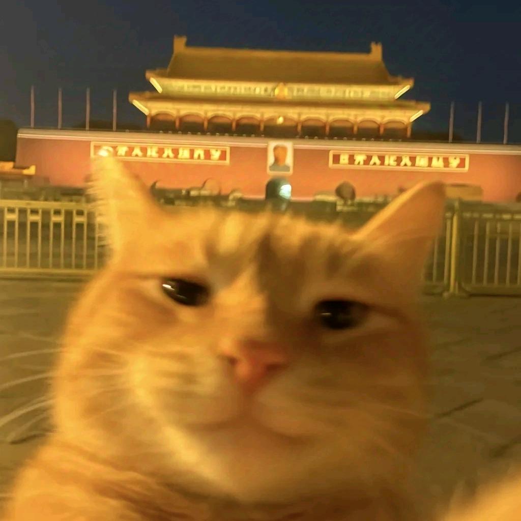 风软一江水