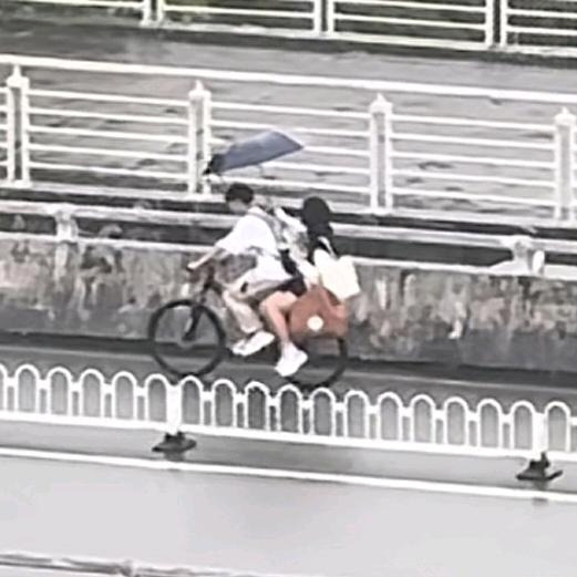 高小白