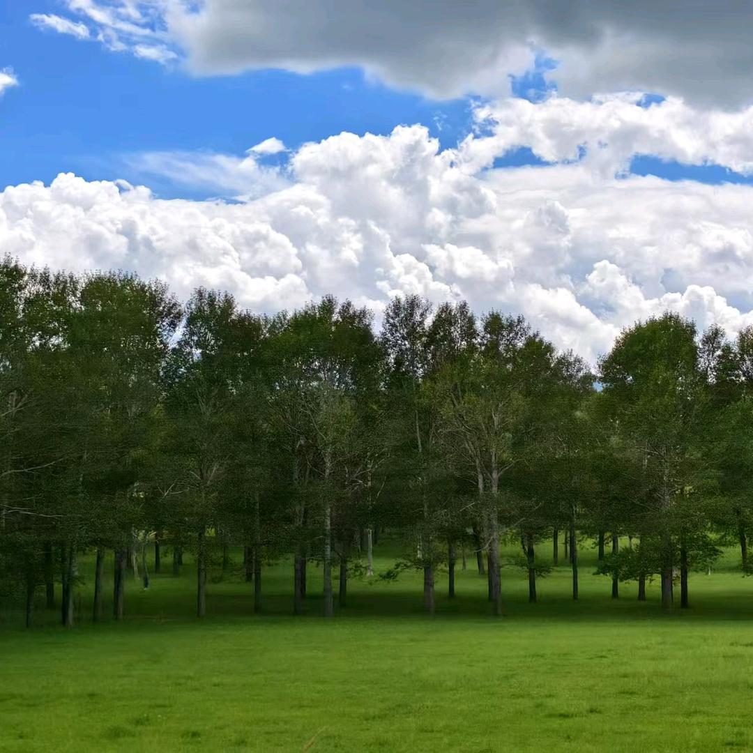 Jimsi语言俱乐部