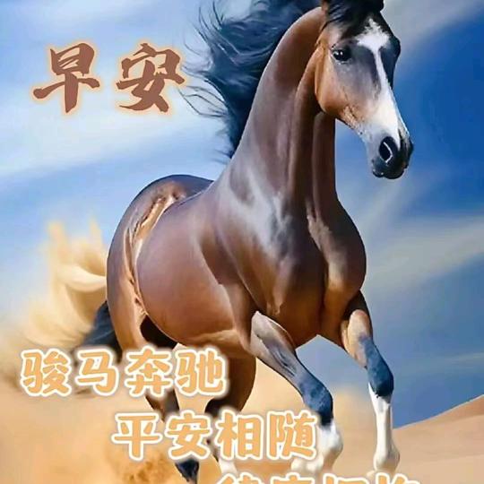 宝玉一首播