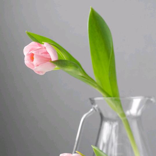 天天有惊喜好运连连