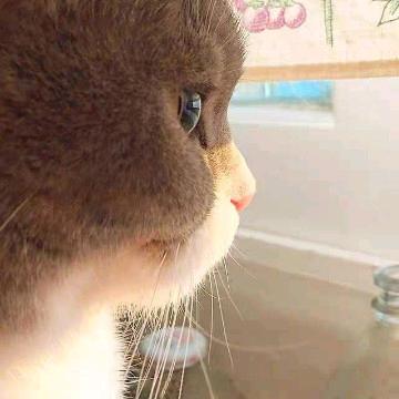 洋