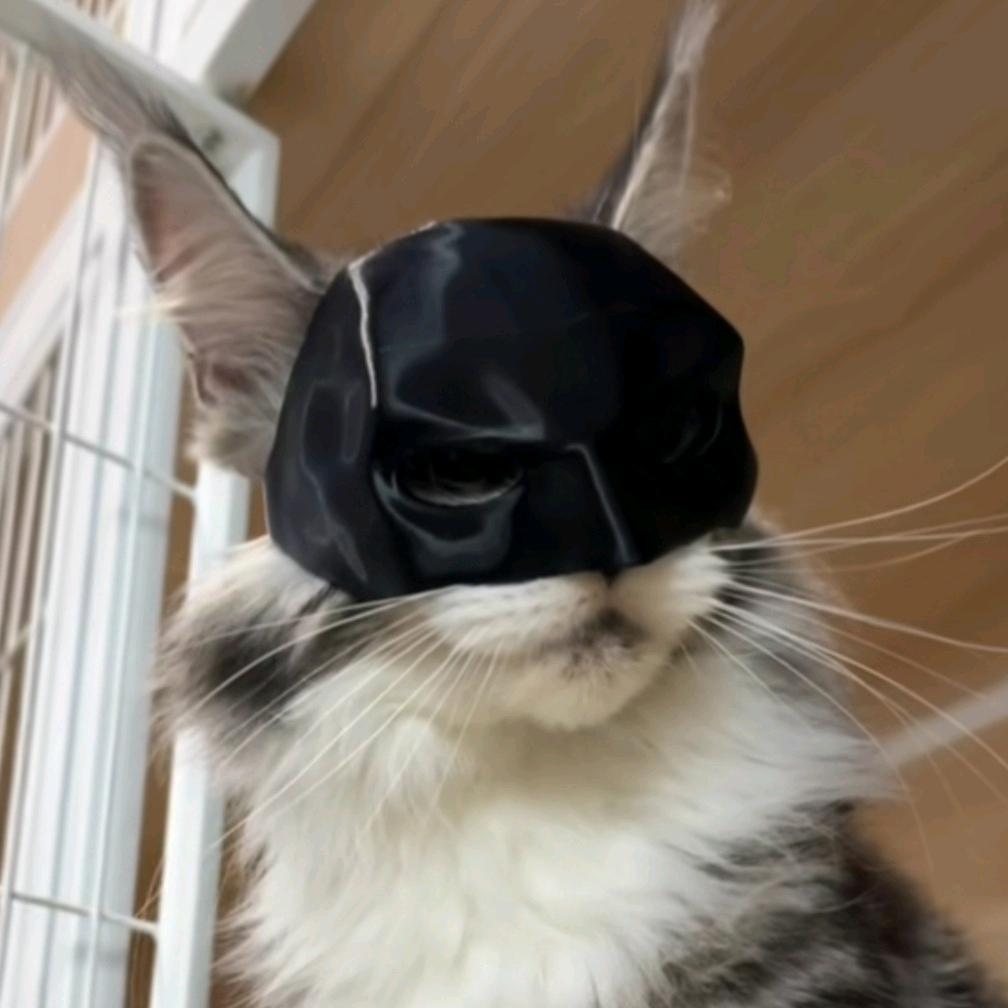 安安.