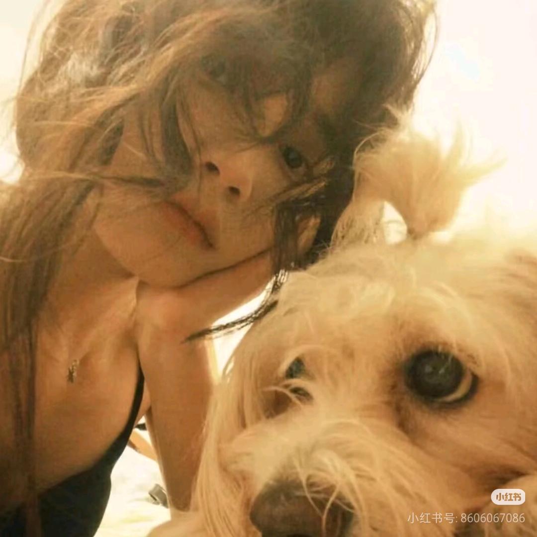 长矛粘💩戳谁谁死