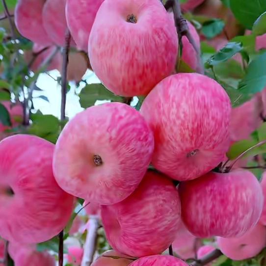 下定决心忘记你