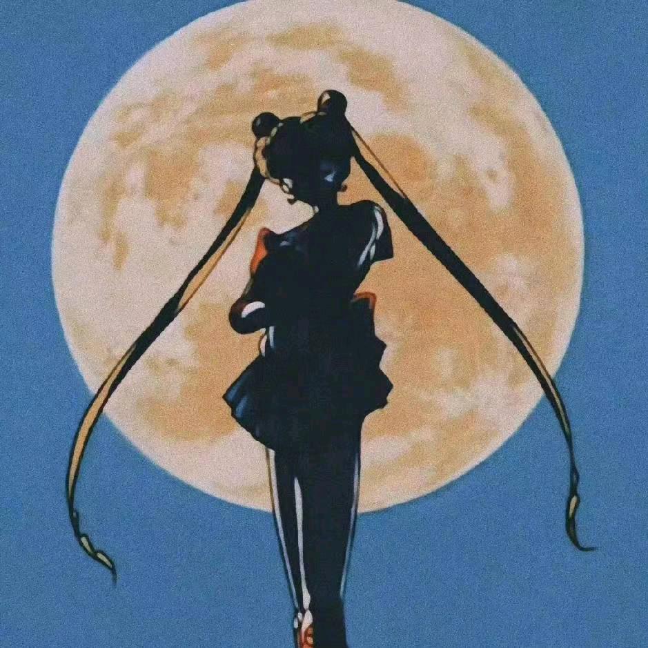 暖夜小睡猫