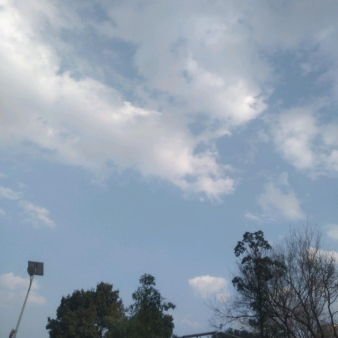 等风等雨也在等你