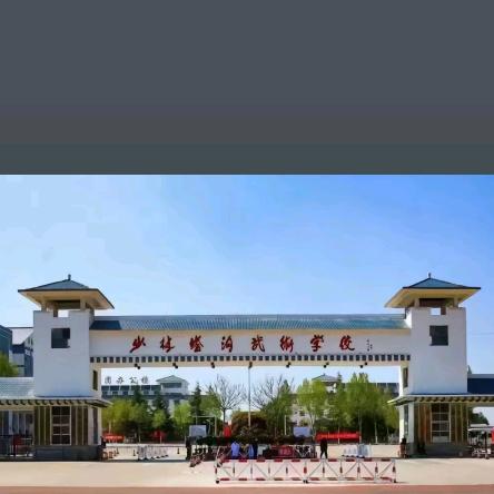 少林塔沟武术学校搏击系训练处主任