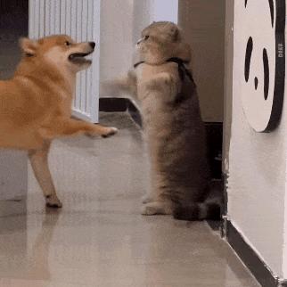 1.-
