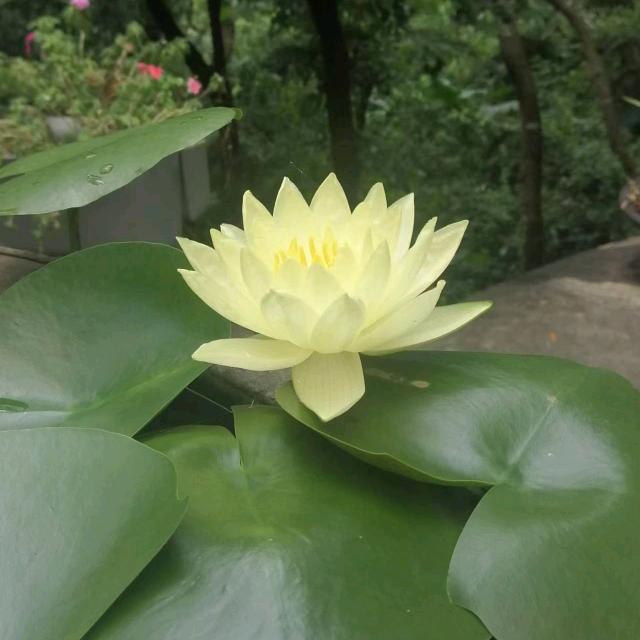 清山绿水