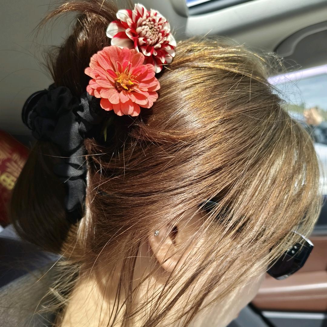 🥀🎊封心锁༆爱💔༂