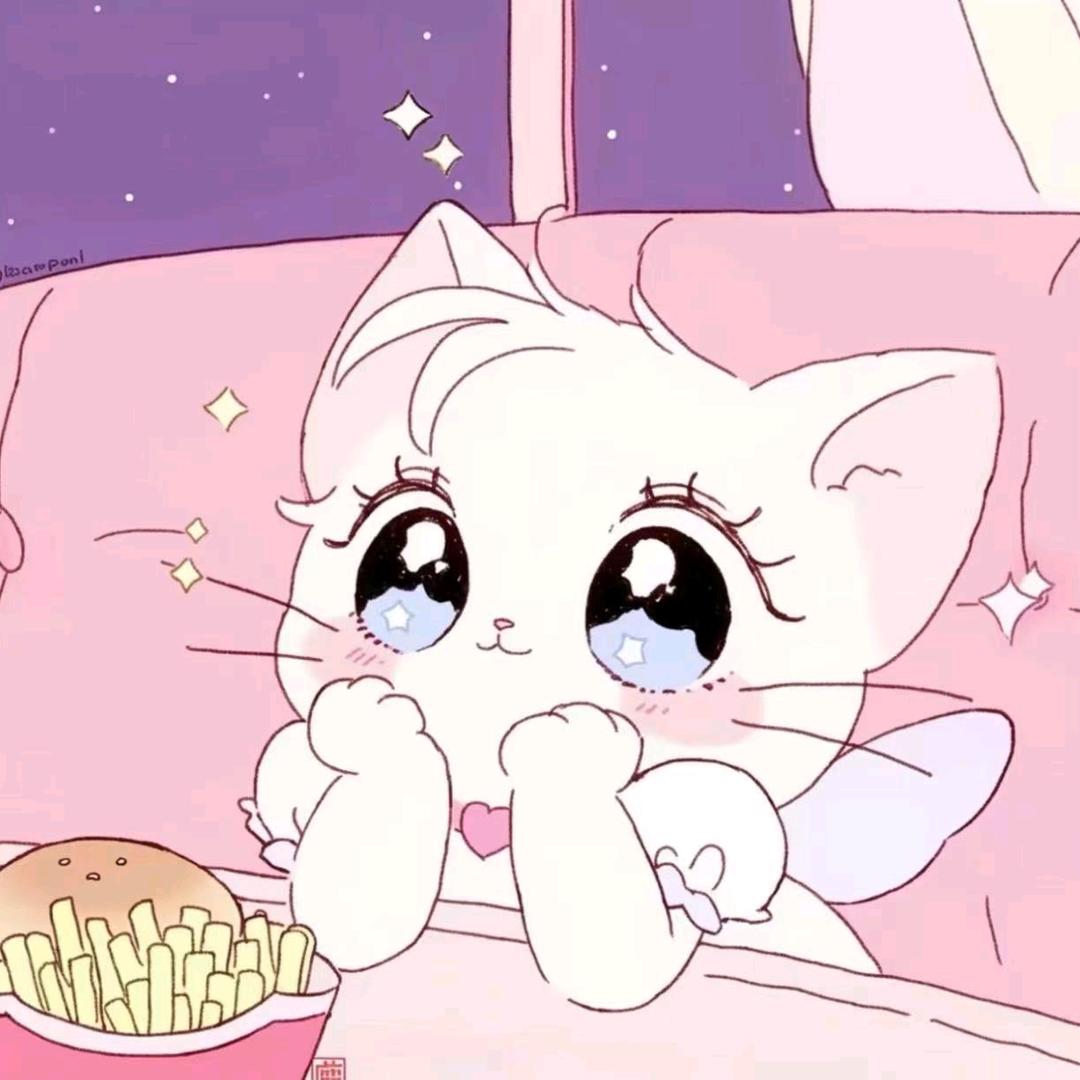 驴猫猫大王