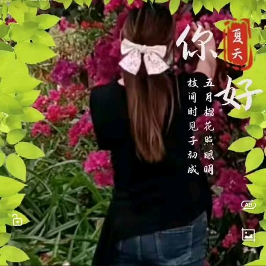 兰孤碎心