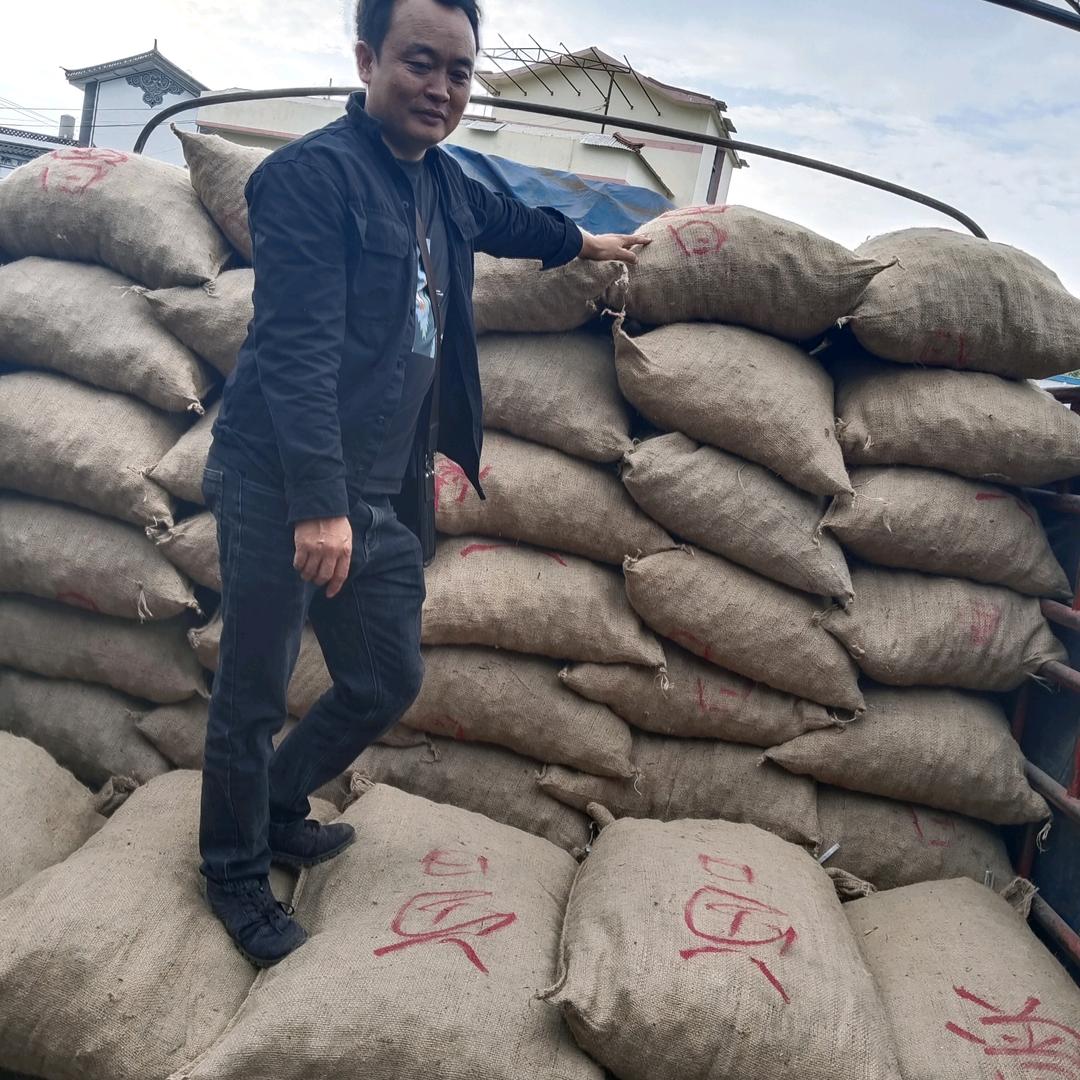 有话就说