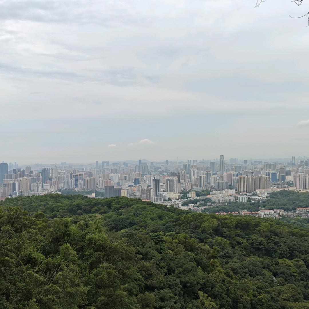 坚持、