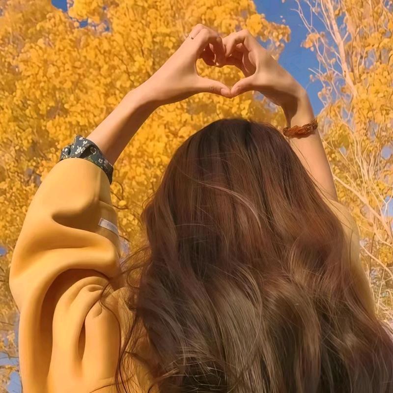 人生若只如初见