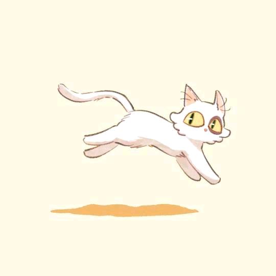 影子..