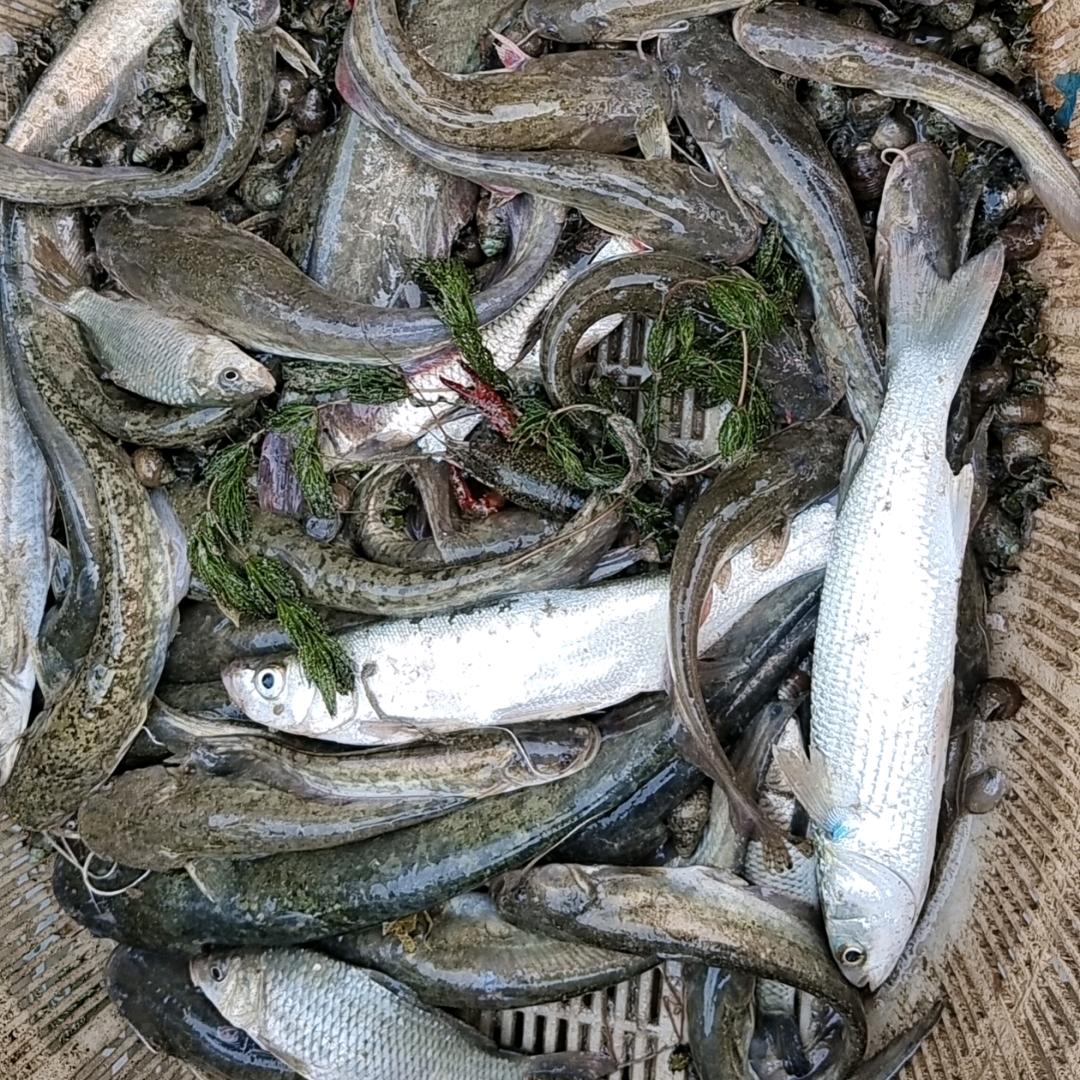 英姐户外
