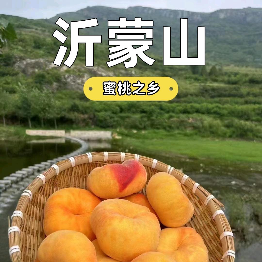 全豆优