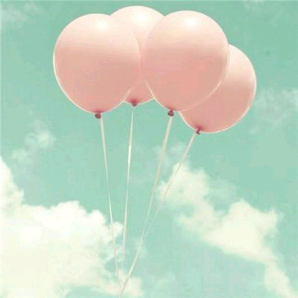 生如夏花- ̗̀(๑ᵔ⌔ᵔ๑)