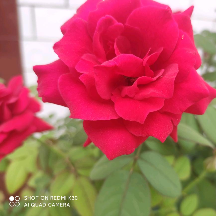 幸福其实很简单