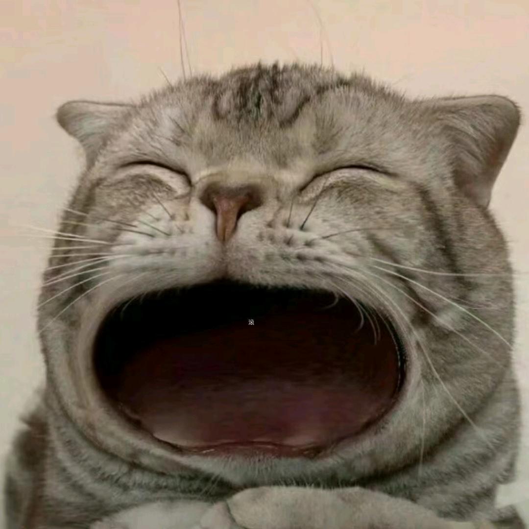 十一点准时睡