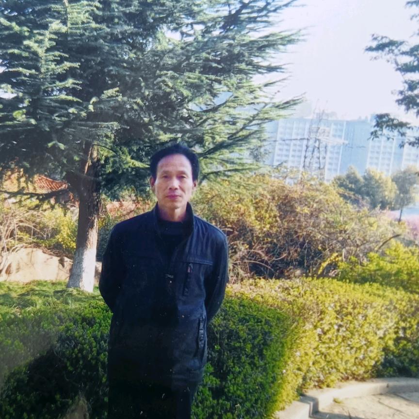 杨柳青
