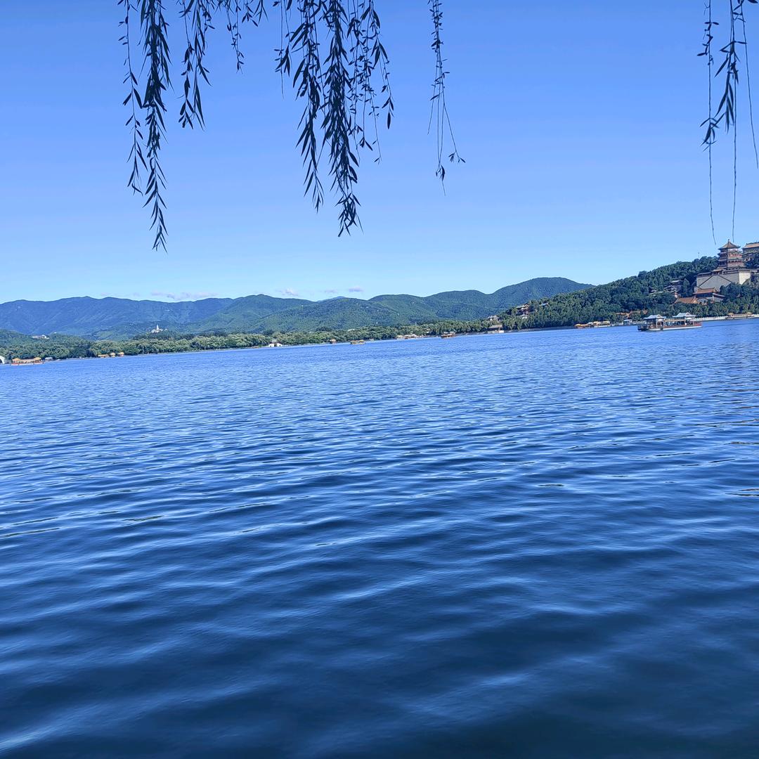 释怀☀