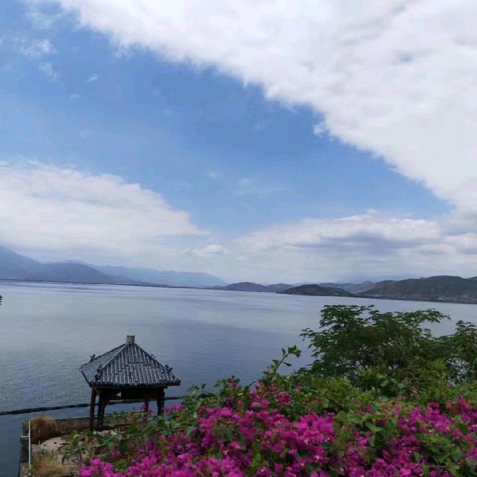 在水一方