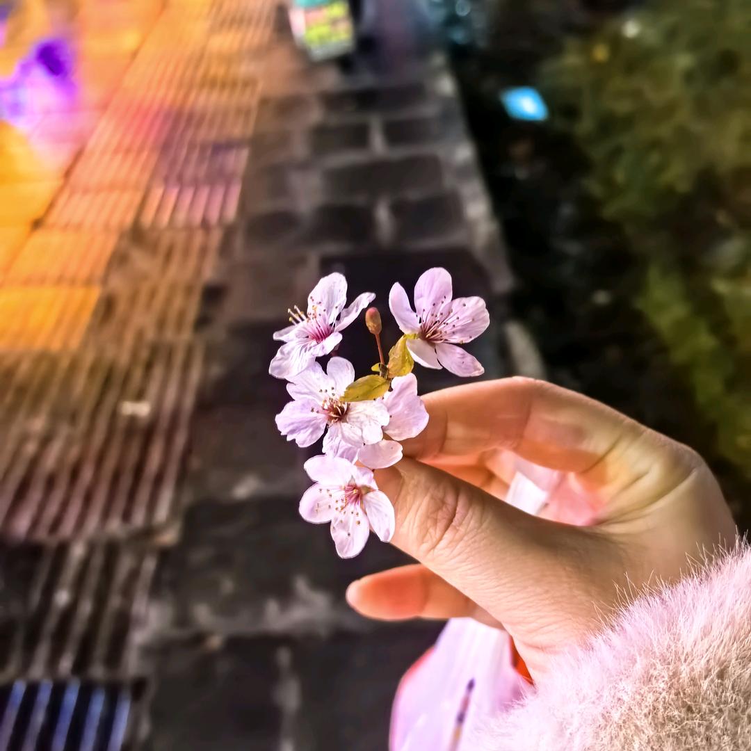 五路财神的小公主👸