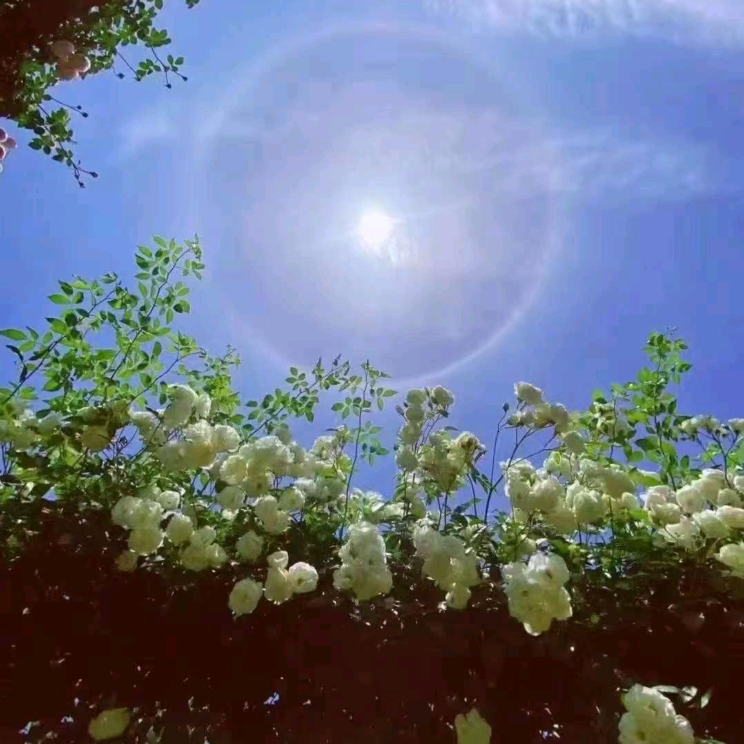 掌心^O^温差刘伟