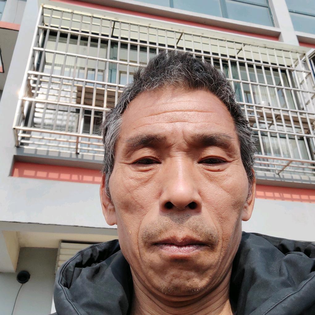 寂寞的心张卫子