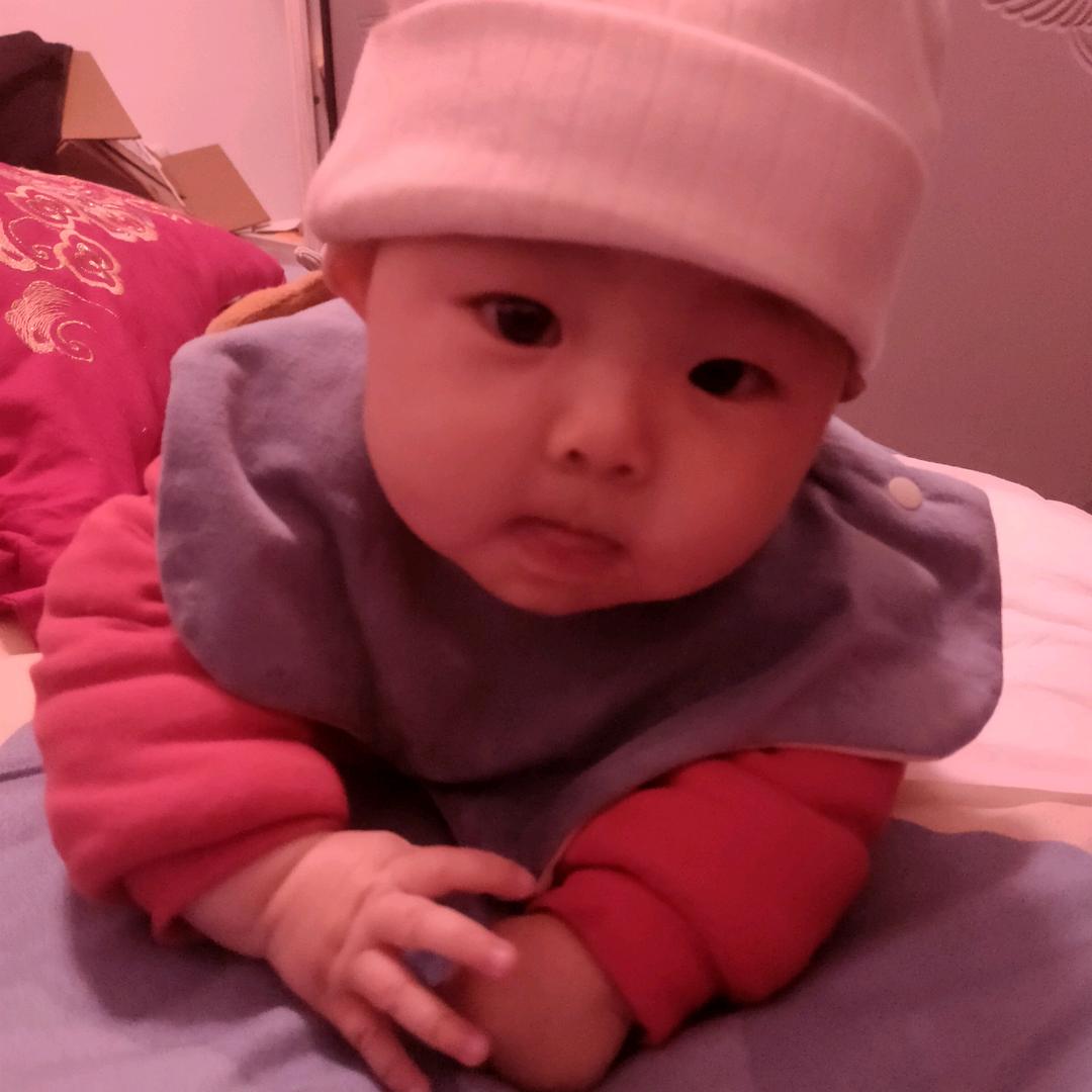 桐宝