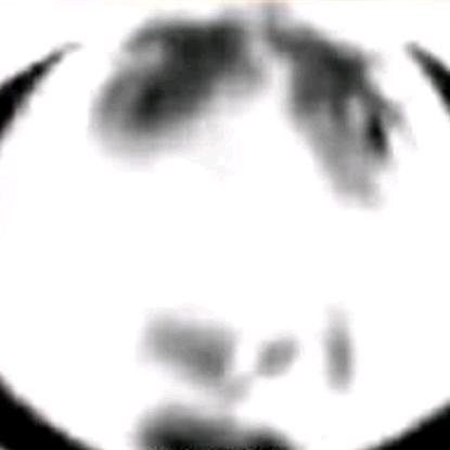 小龙霸霸